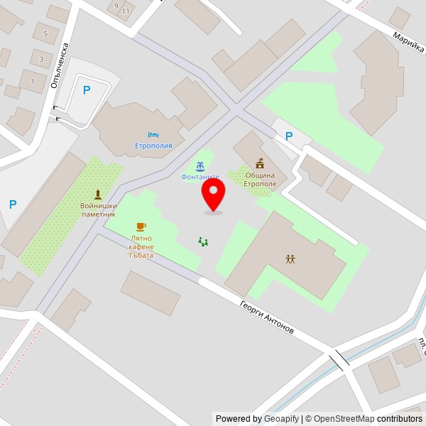 ТЕДИ-ТОДОР АНГЕЛОВ ЕООД